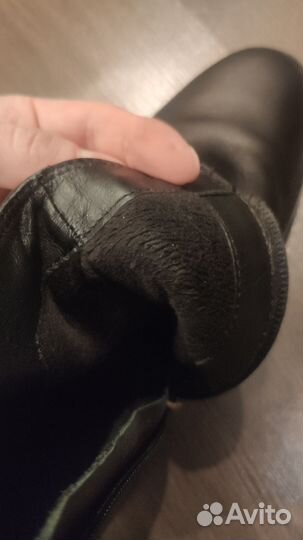 Полусапоги Carlo pazolini 36