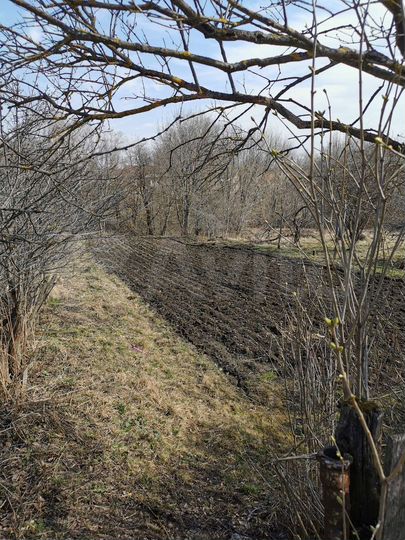 Дом 80,5 м² на участке 17 сот.