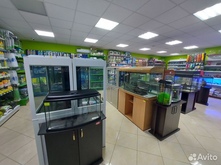 Зоомагазин Белая Акула