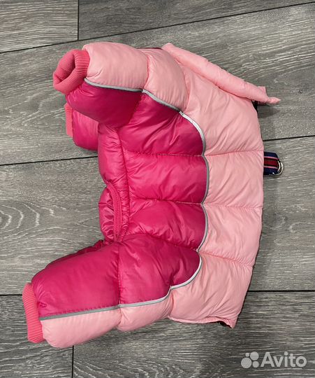 Одежда для маленьких собак