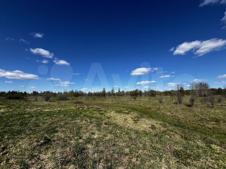 Участок 4,47 га (ИЖС)