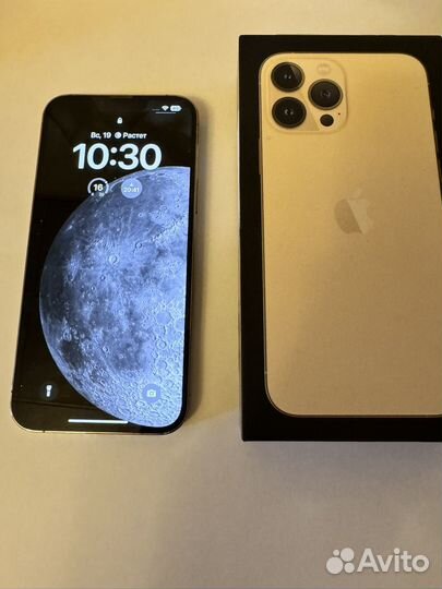 iPhone 13 Pro Max, 256 ГБ