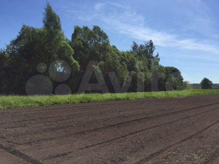 Участок 30 сот. (ИЖС)