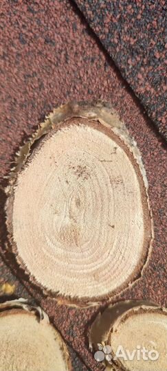 Спилы дерева берёза, слэб, декор