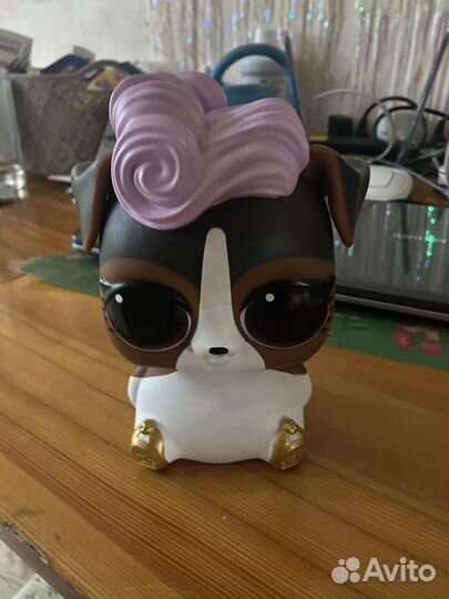 Lol surprise питомец