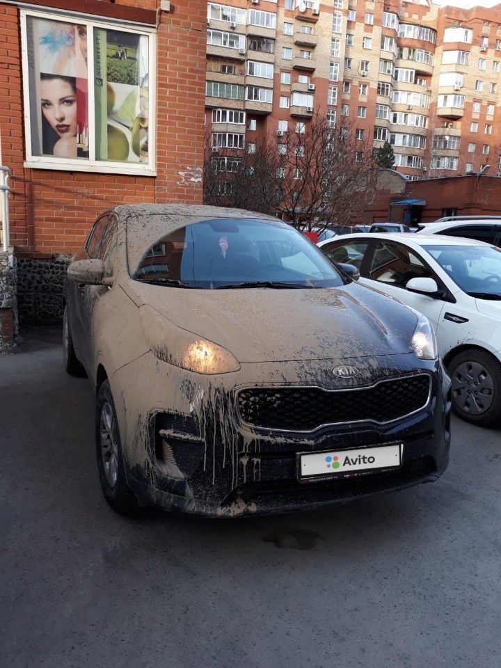 Kia Sportage: фото владельца