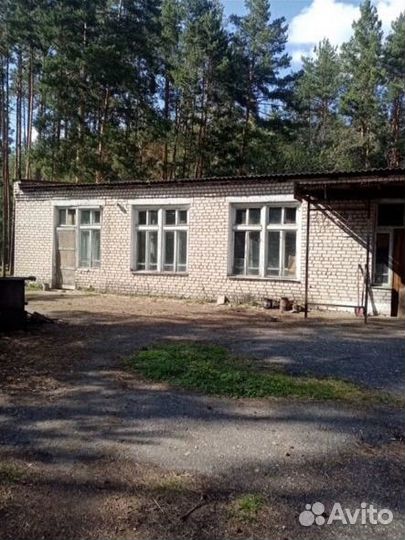 Детский оздоровительный лагерь