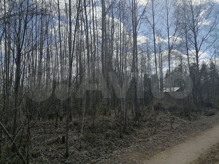 Участок 30 сот. (СНТ, ДНП)