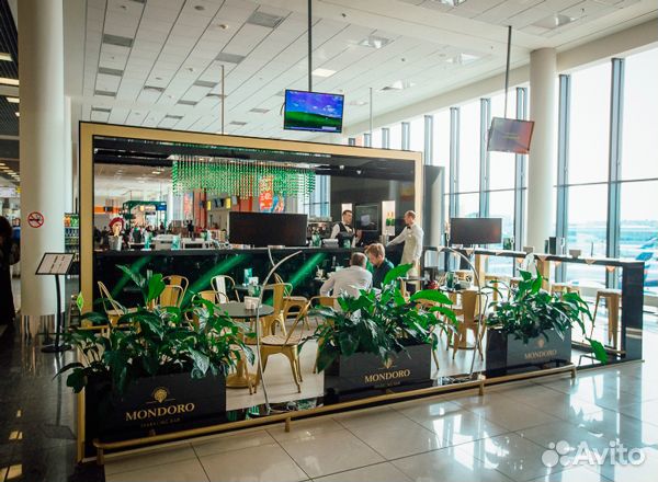 Помощь в открытии кофейни, торгового островка