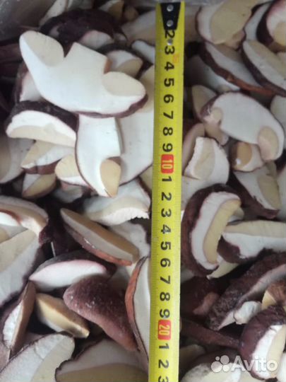 Грибы замороженные лесные