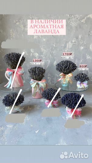 Лаванда сухоцвет в кашпо