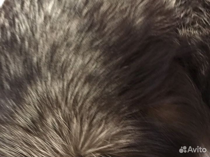 Сьемный меховой воротник. Из чернобурки