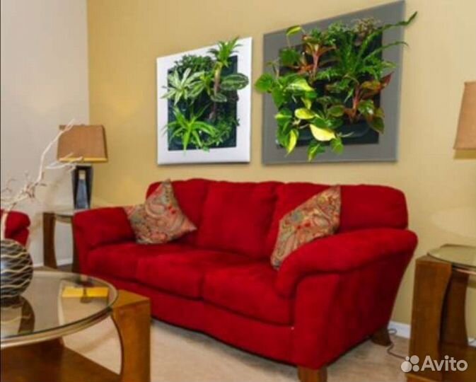 Фитокартина