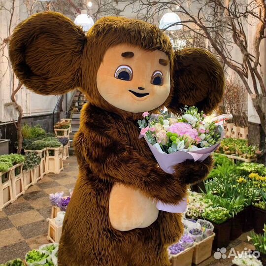 Ростовая кукла / поздравление Чебурашки анимация