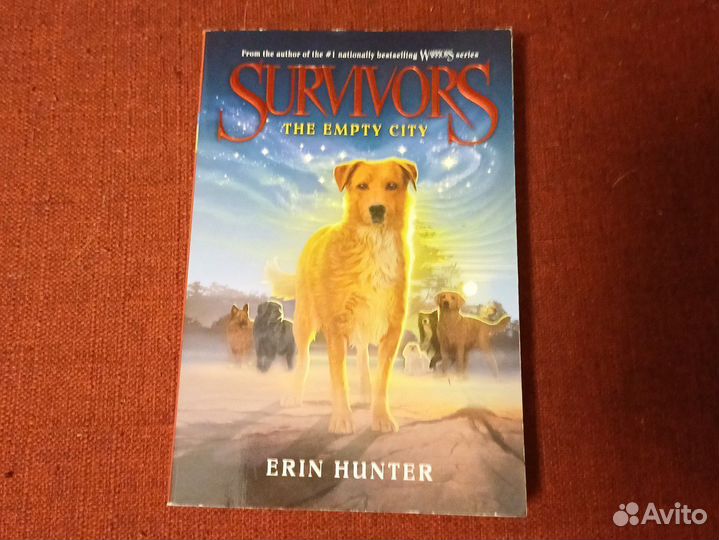 Survivors. The empty city