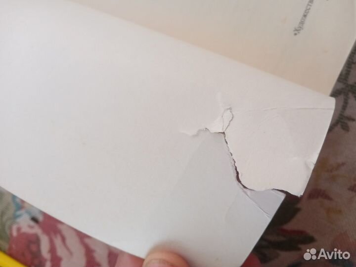 Любовная лирика русских поэтов. Книга вторая. 1988