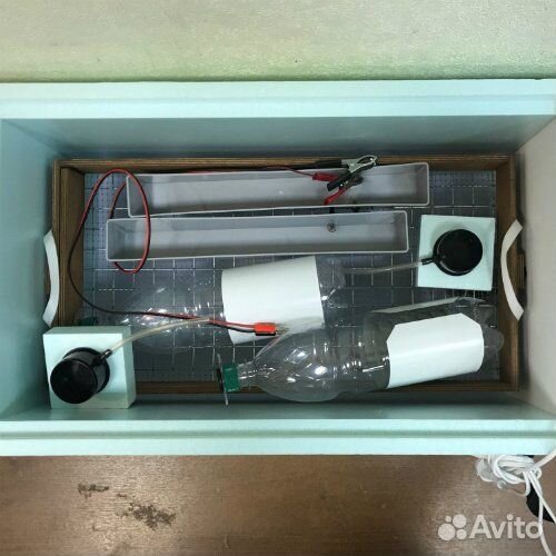 Инкубатор Матрица Дели