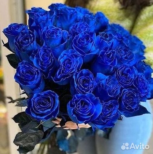 Синие розы. Букеты Цветы доставка
