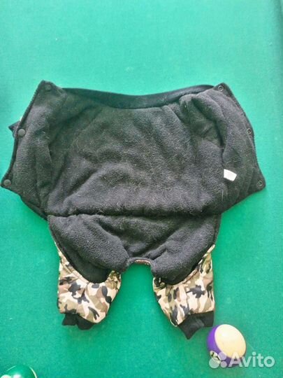 Одежда для собак