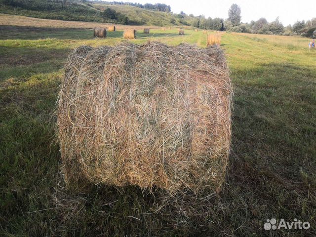 Сено луговое в рулонах