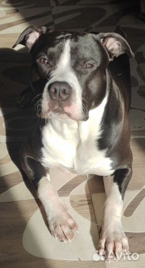 Ищем подружку