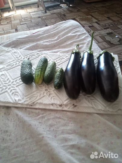 Домашние овощи с грядки