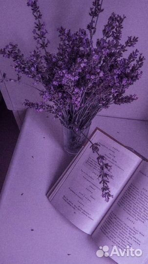 Возьму книги в дар