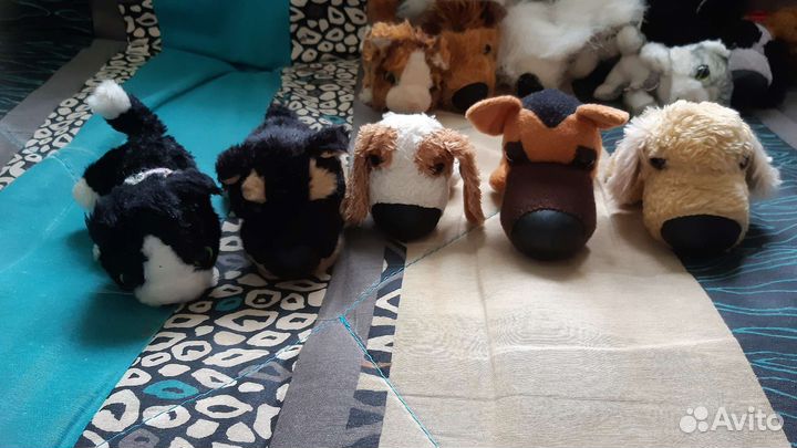 The dog collection и the cat collection