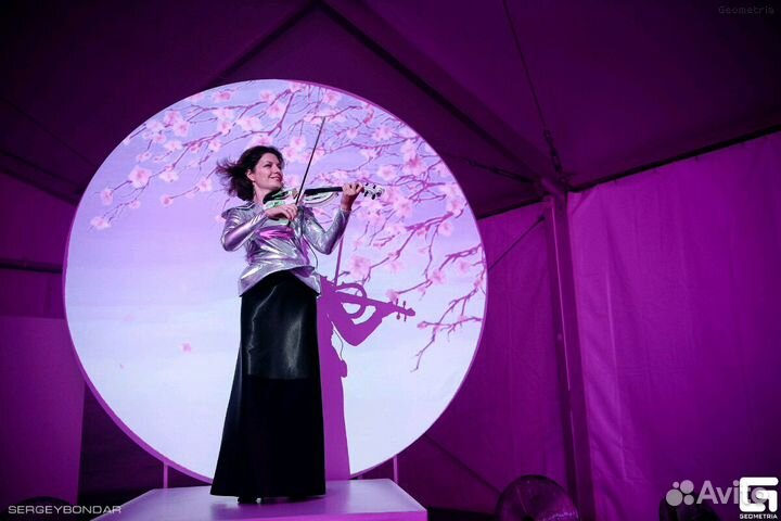 Скрипка, электроскрипка, музыкант на праздник