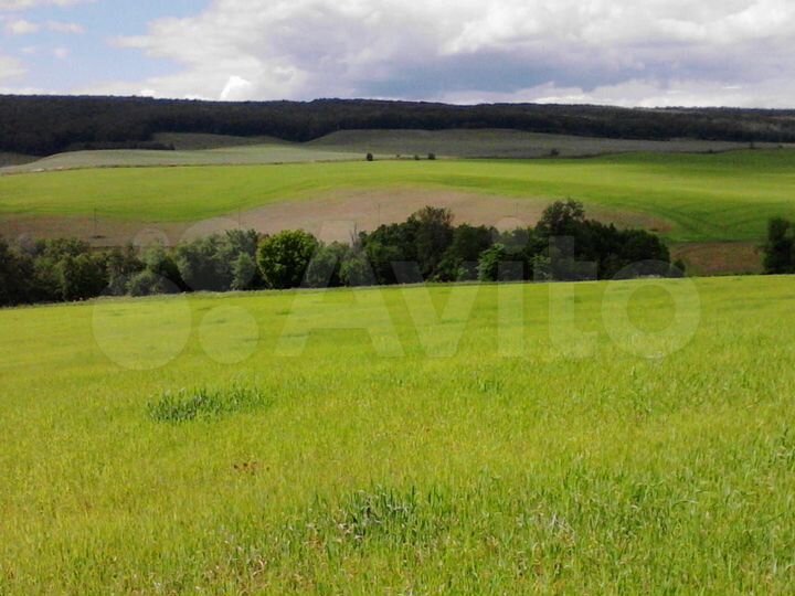 Участок 1,5 га (СНТ, ДНП)