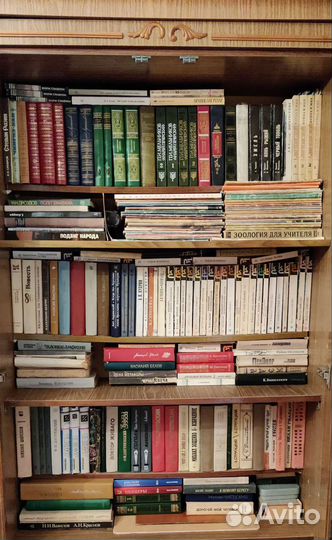 Домашняя библиотека