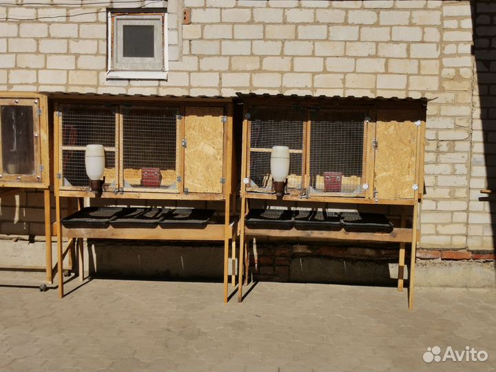 Крольчатник