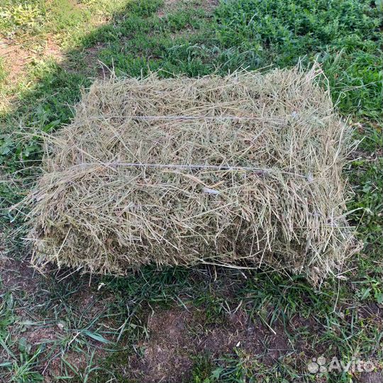 Сено в тюках