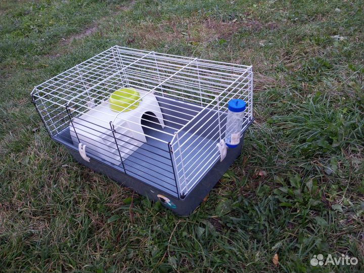 Клетка в хорошем состоянии