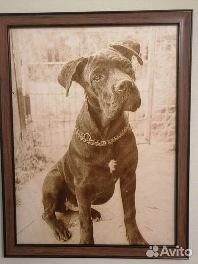 Лазерная резка и гравировка