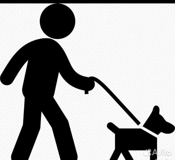 Выгул собак