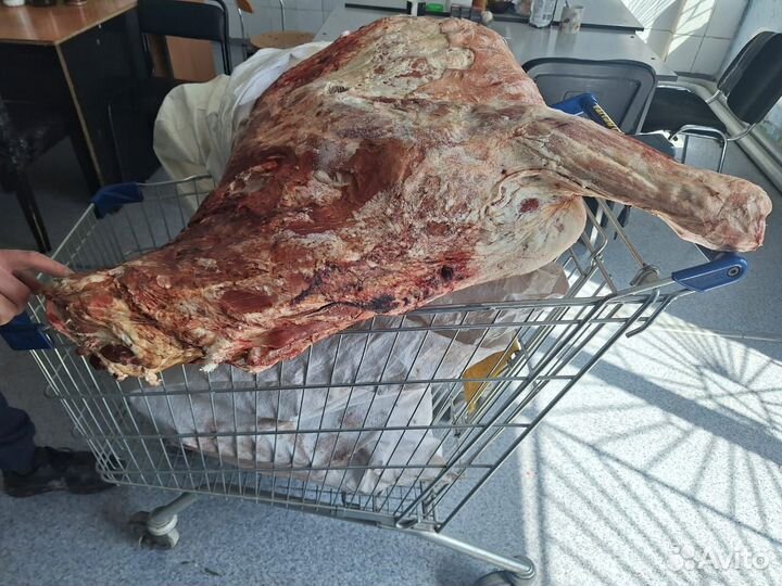 Мясо говядина оптом