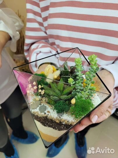 Флорариум. Живые цветы