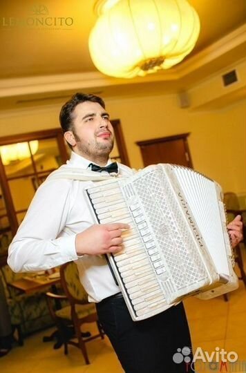 Аккордеонист на праздник. Живая музыка