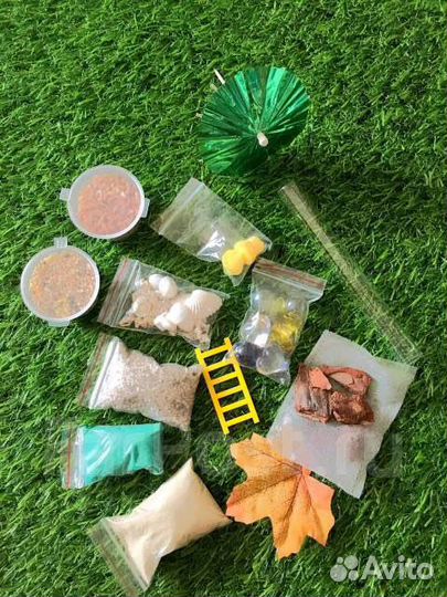 Формикарий из акрила «аниме»L+MessorStructor