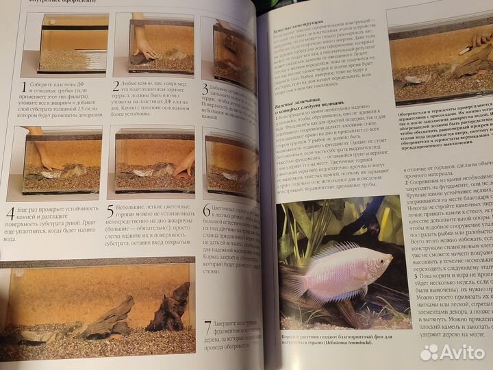 Энциклопедия Аквариумные рыбки