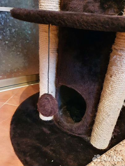 Игровой комплекс для кошек с домиком и когтеточкой