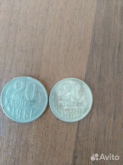 Коллекция