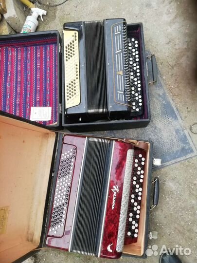 Аккордеоны