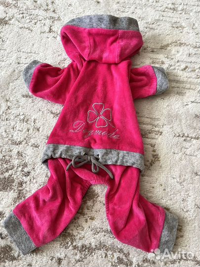 Одежда для собак