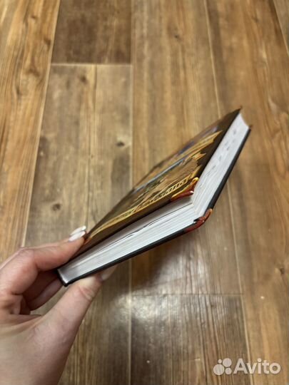 Коты воители Приключения Ольхолапа