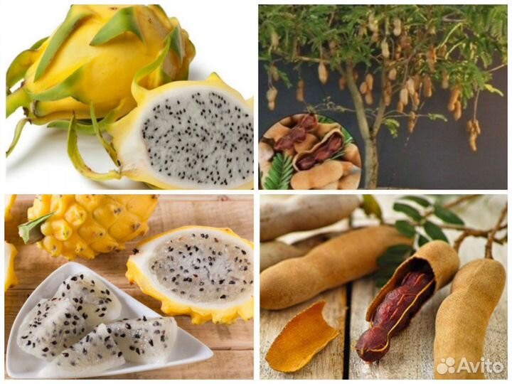 Тамаринд и Питахайя семена