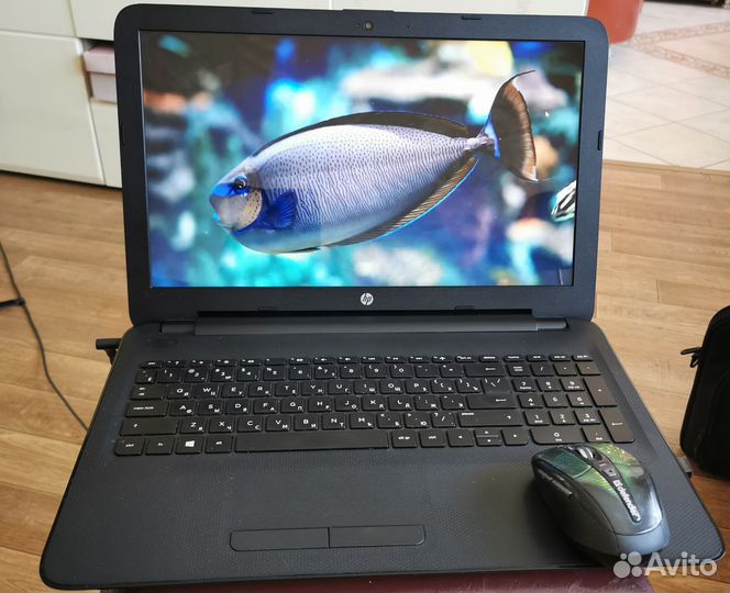 Ноутбук hp