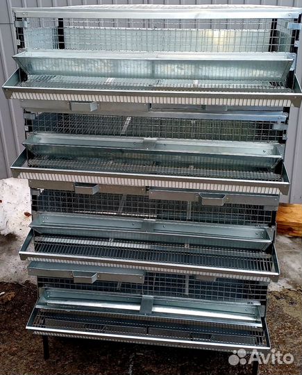 Клетка для перепелов несушек 1-4