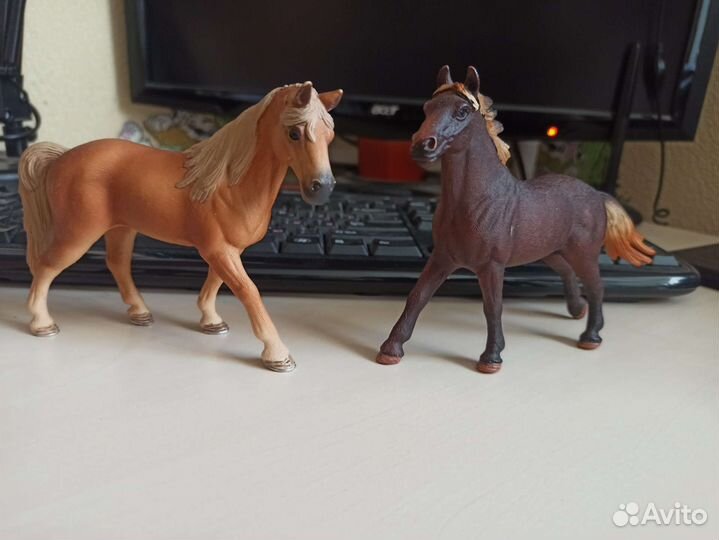 Лошади шляйх